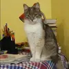 Отзыв от Дина Гущина